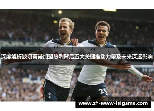 深度解析波切蒂诺加盟热刺背后五大关键推动力量及未来深远影响 深度解析波切蒂诺加盟热刺背后五大关键推动力量及未来深远影响