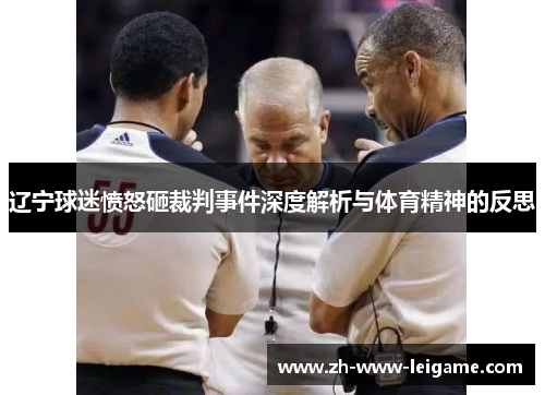 辽宁球迷愤怒砸裁判事件深度解析与体育精神的反思 辽宁球迷愤怒砸裁判事件深度解析与体育精神的反思